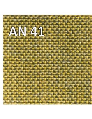 AN 41