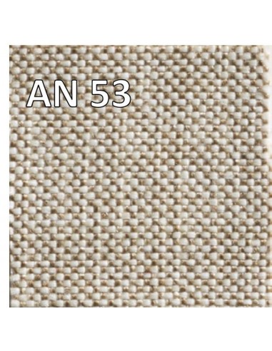AN 53