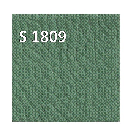 S 1809 ecopelle GAZEBO class 1 IM