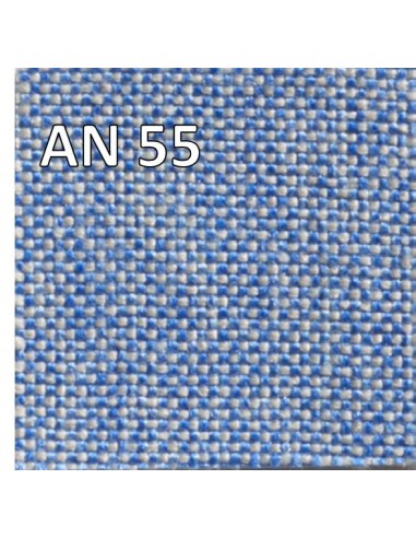 AN 55