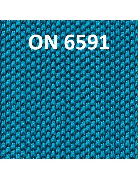 COLORE ONE - ON 6591