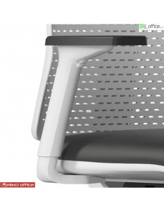 Coppia braccioli in...