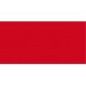 COLORE ROSSO PER SEDUTA PVC MODELO EASY