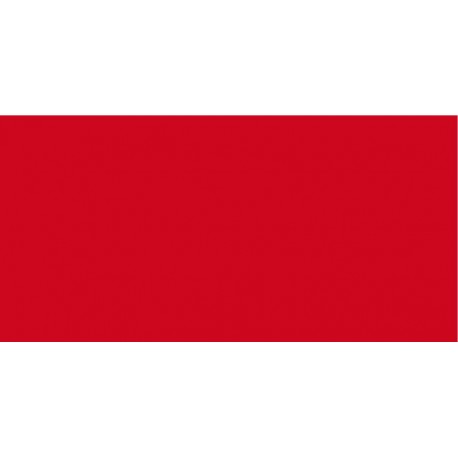 COLORE ROSSO PER SEDUTA PVC MODELO EASY