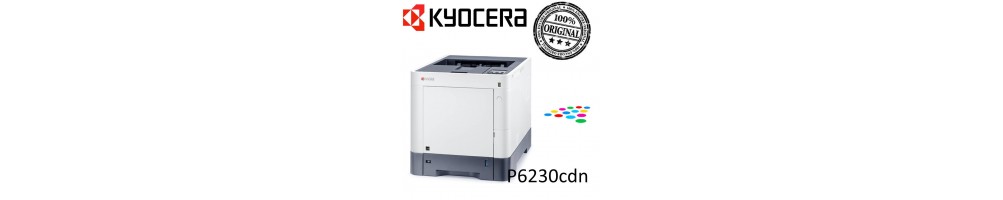 Toner originale per stampante colore P6230cdn