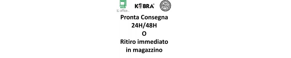 Pronta consegna Distruggi documenti Kobra 24H 48H