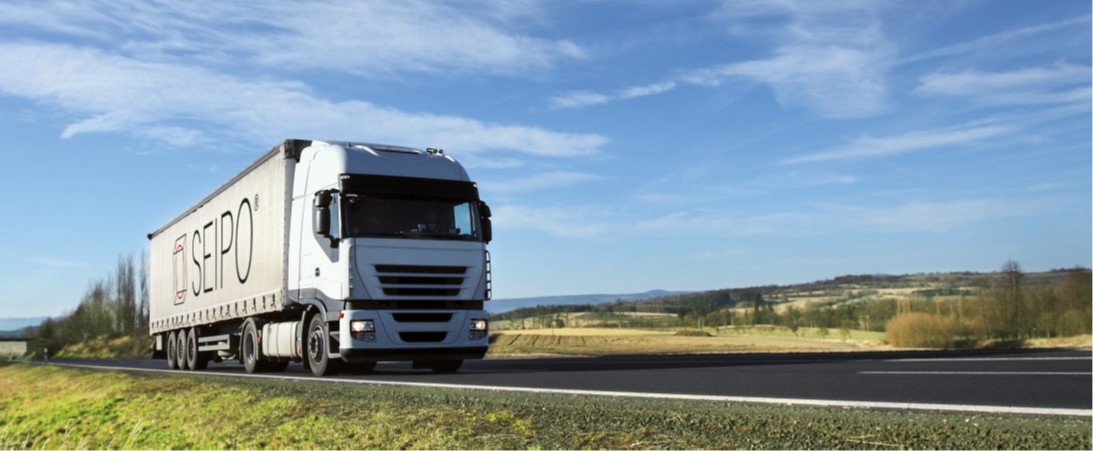 CAMION SEIPO